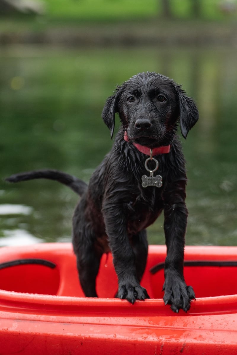 Embark on Adventures